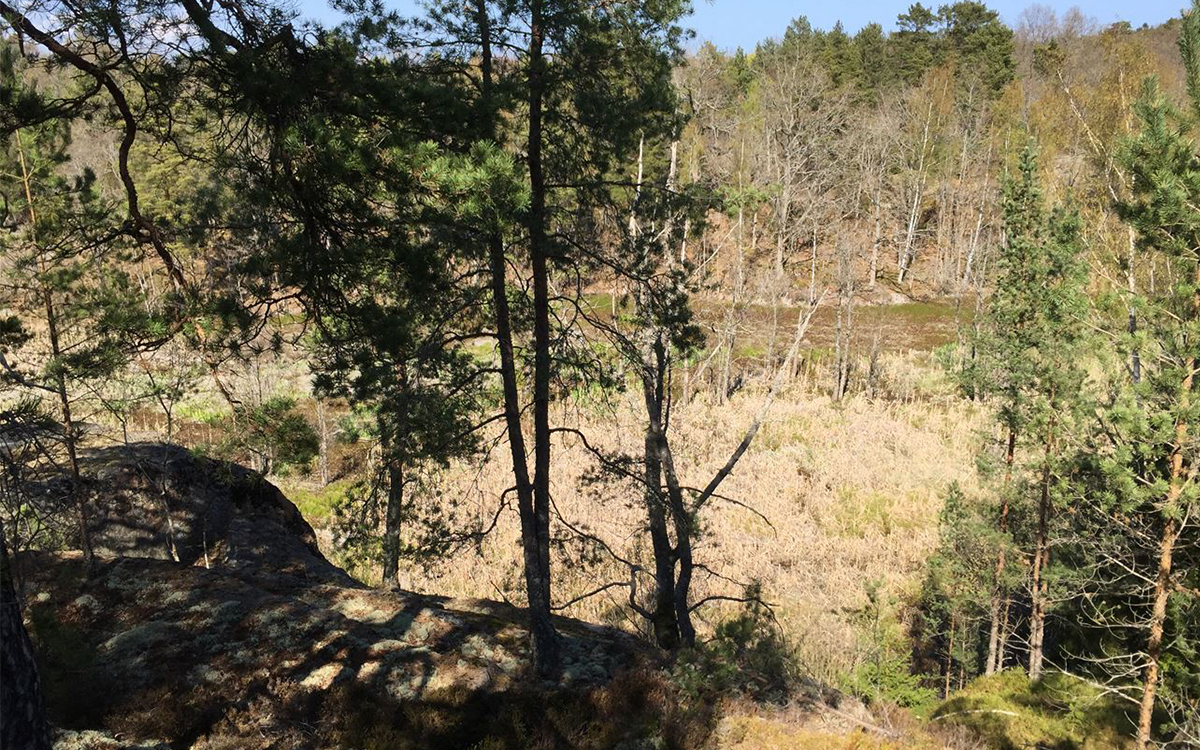 Fina Sjöbovikens naturreservat